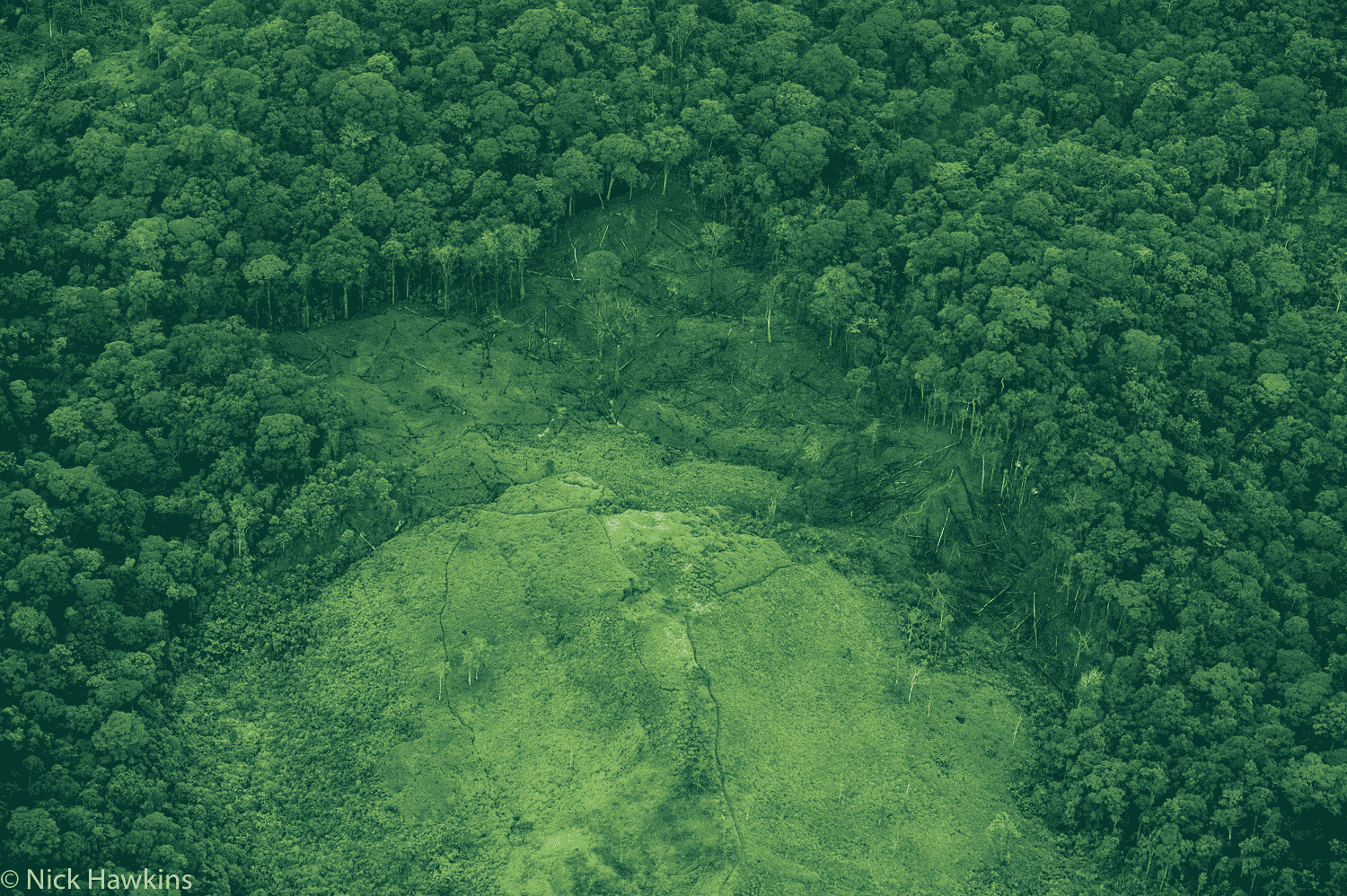 Nicaragua Indio Maiz